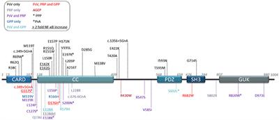 Clinical and Genetic Heterogeneity of CARD14 Mutations in Psoriatic Skin Disease